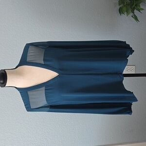 ELIZABETH & JAMES Women's long sleeve deep vneck blouse sz Medium sheer panel